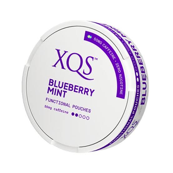 XQS Blueberry Mint